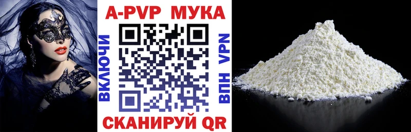 Alfa_PVP СК  Печора 