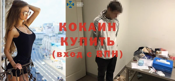 крисы Баксан