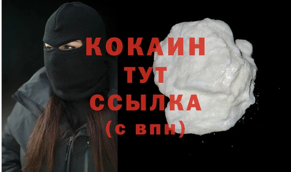 крисы Баксан
