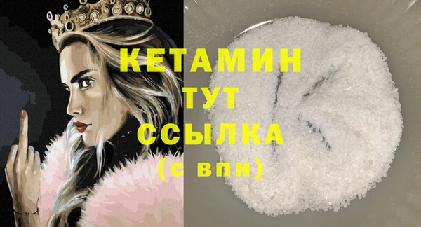 крисы Баксан