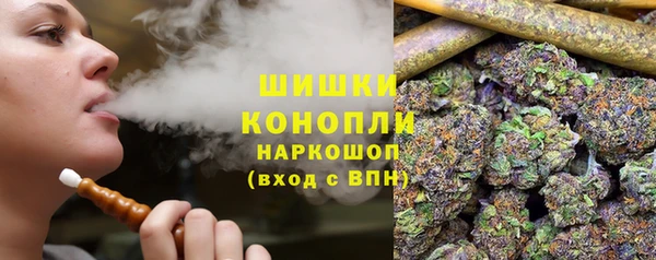 крисы Баксан