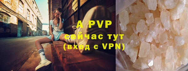 крисы Баксан