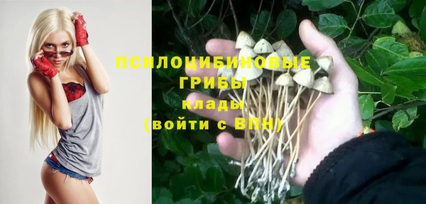 крисы Баксан