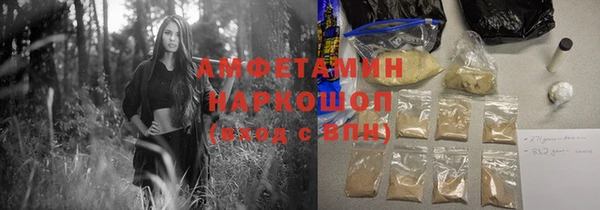 крисы Баксан