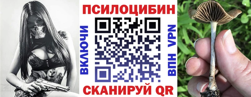 omg ссылки  Печора  Псилоцибиновые грибы ЛСД 
